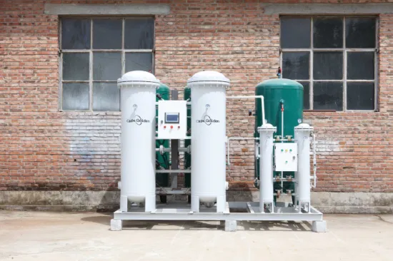 Psa Oxygen Generator Oxigen Making Machine with Filling Cylinder System